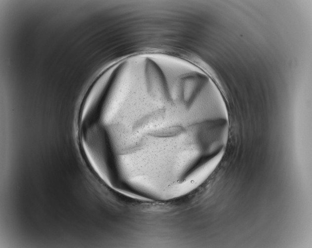 X0000089740811200707201900