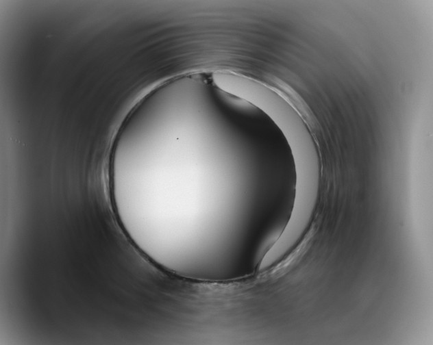 X0000089740812200707201900