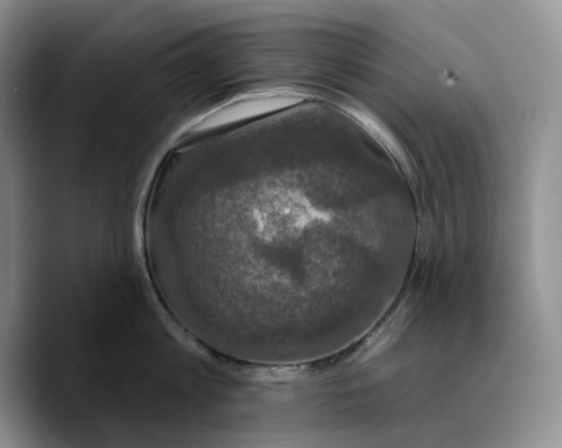 X0000089740813200707201900