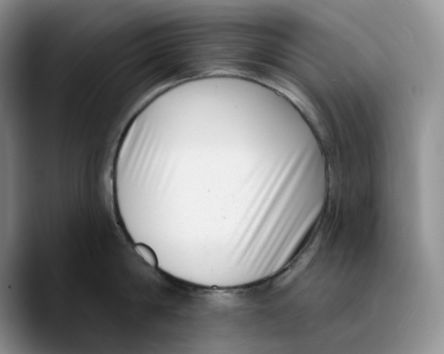 X0000089740814200707201900