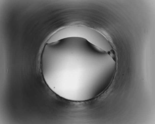 X0000089740816200707201900
