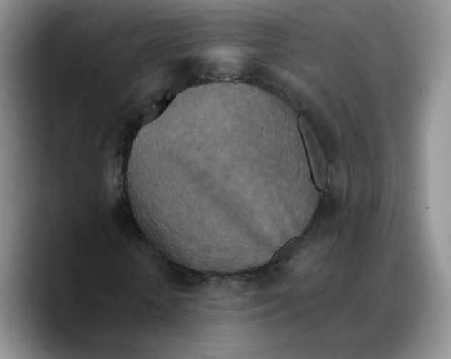 X0000089740818200707201900