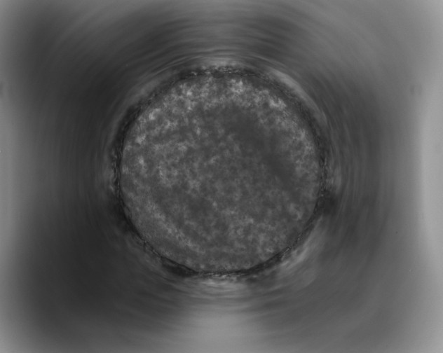 X0000089740823200707201900