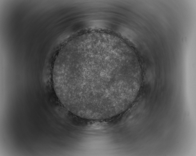 X0000089740824200707201900