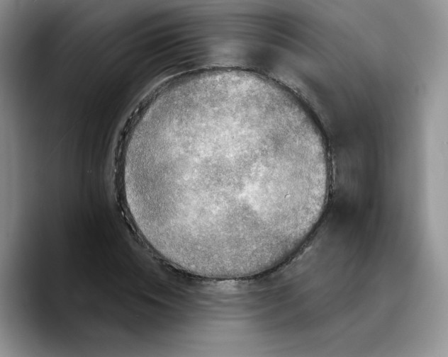 X0000089740828200707201900