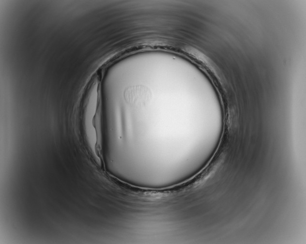 X0000089740829200707201900
