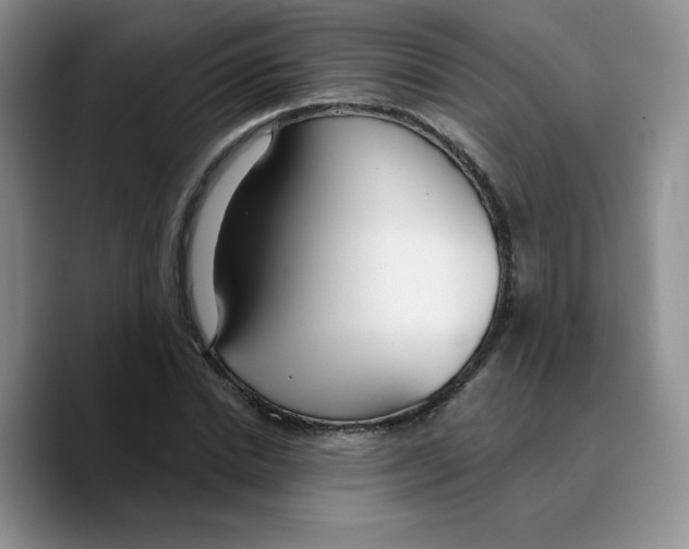 X0000089740830200707201900