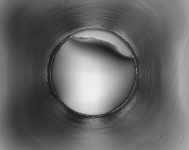 X0000089740834200707201900