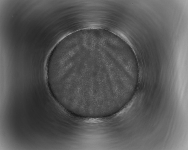 X0000089740835200707201900