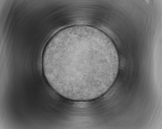X0000089740836200707201900
