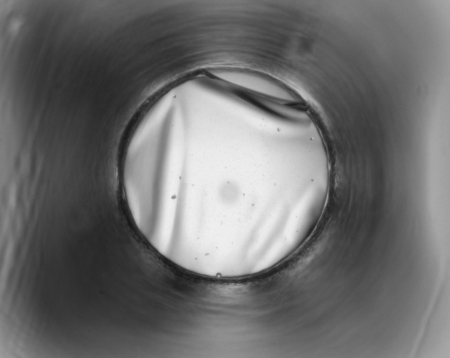 X0000089740837200707201900