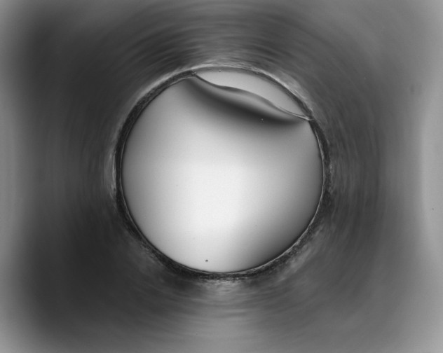 X0000089740838200707201900