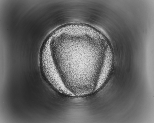 X0000089740839200707201900