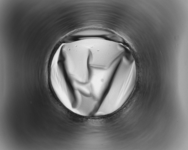 X0000089740840200707201900