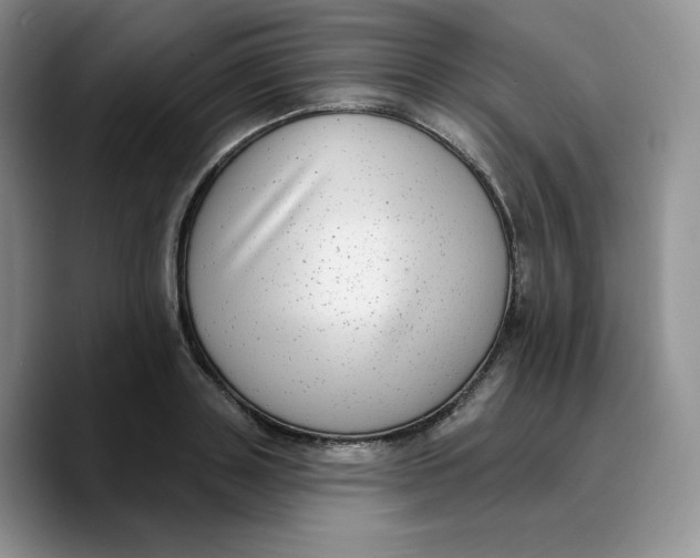 X0000089740843200707201900