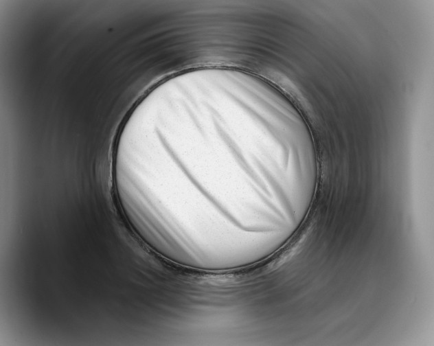 X0000089740844200707201900