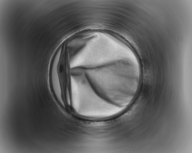X0000089740845200707201900