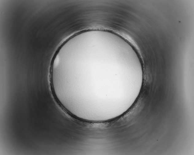 X0000089740847200707201900