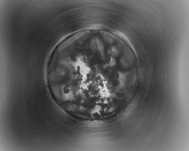 X0000089740851200707201900
