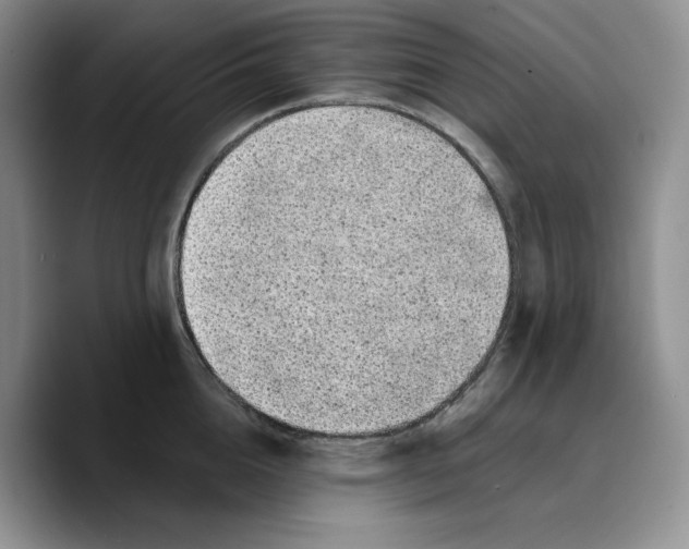X0000089740856200707201900