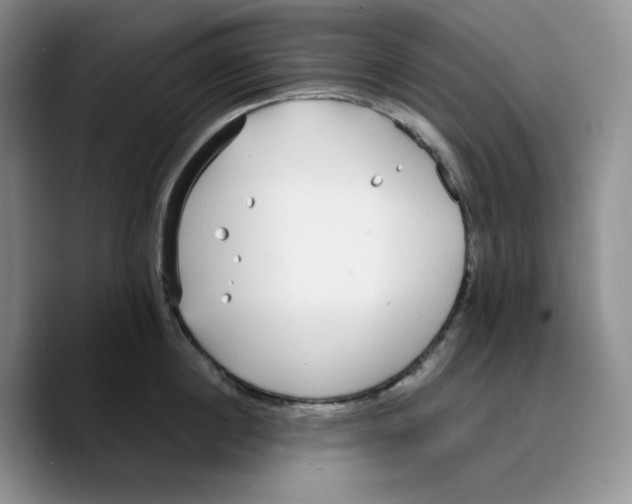 X0000089740860200707201900