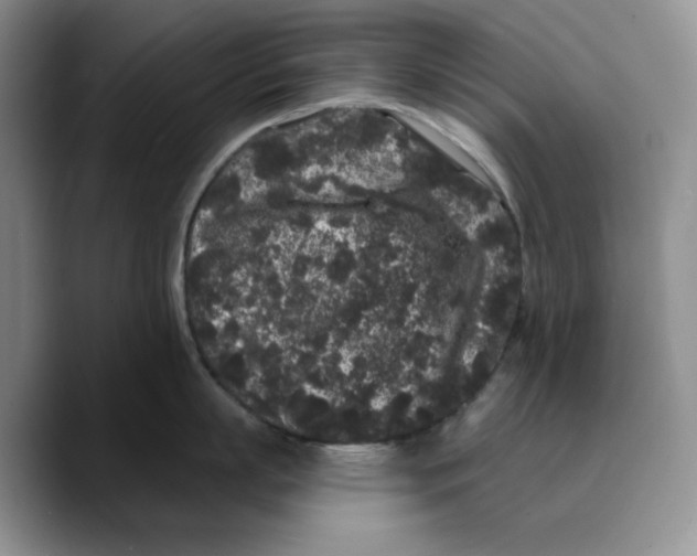 X0000089740863200707201900