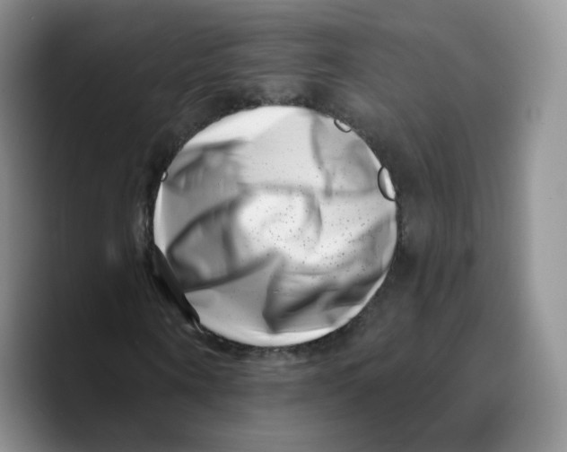 X0000089740866200707201900