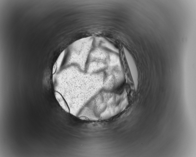 X0000089740867200707201900