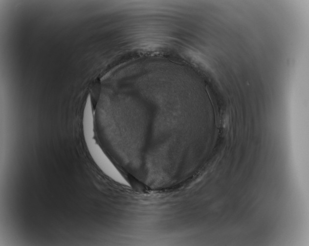 X0000089740868200707201900