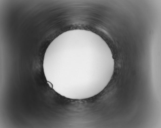 X0000089740869200707201900
