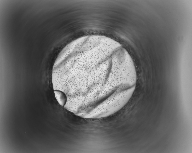 X0000089740870200707201900