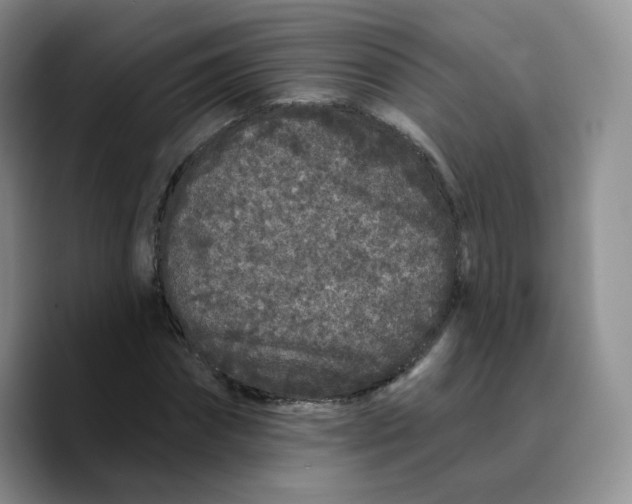 X0000089740874200707201900