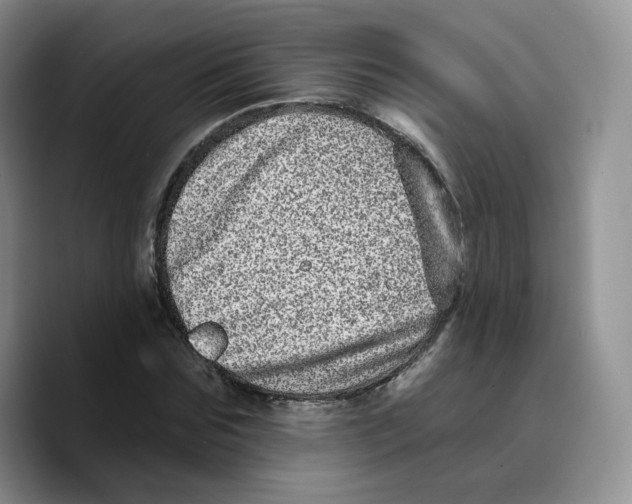 X0000089740875200707201900