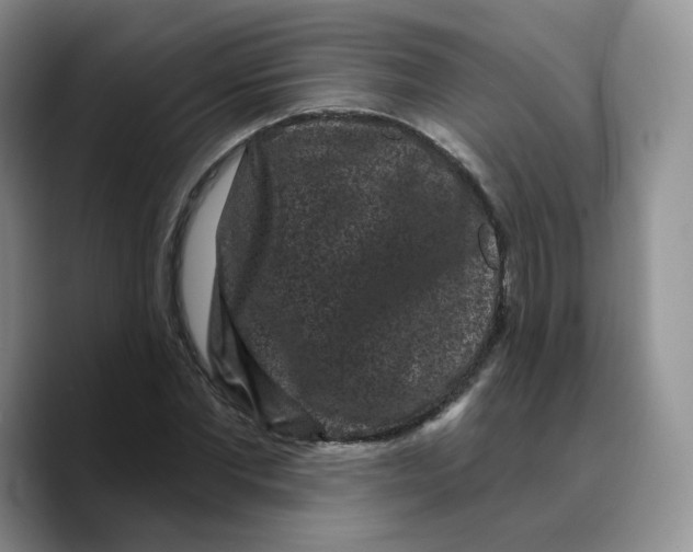 X0000089740877200707201900
