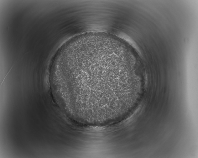 X0000089740878200707201900