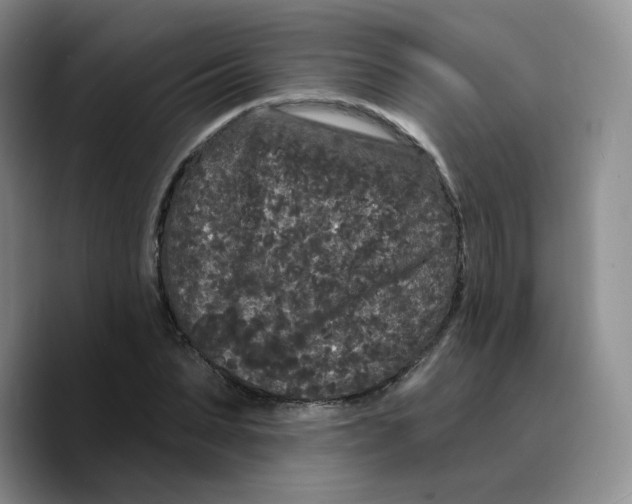 X0000089740879200707201900