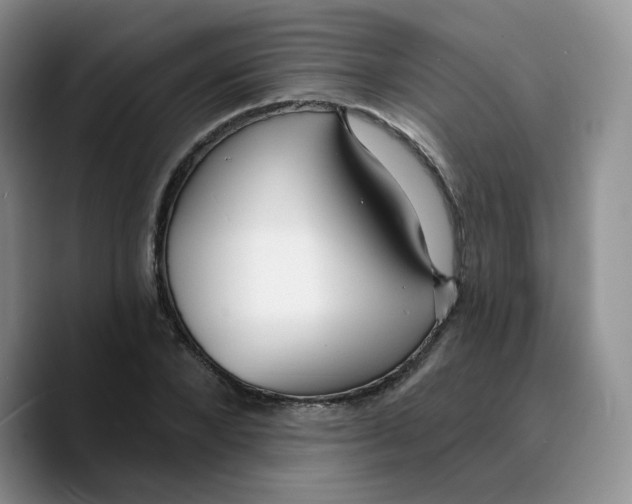 X0000089740880200707201900