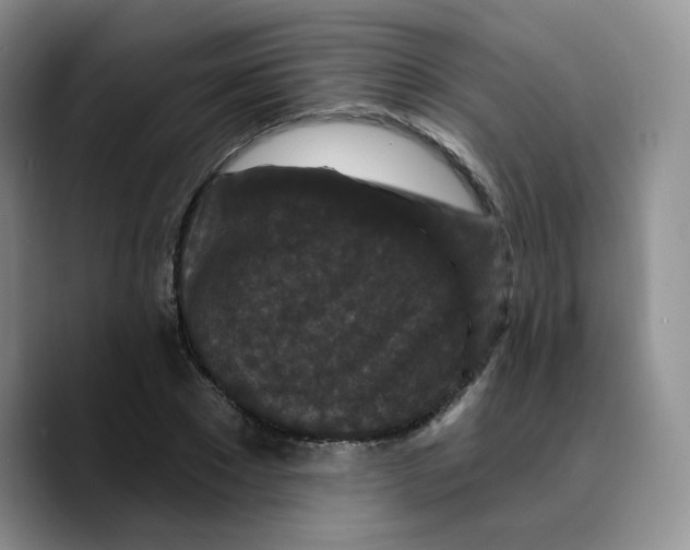 X0000089740881200707201900
