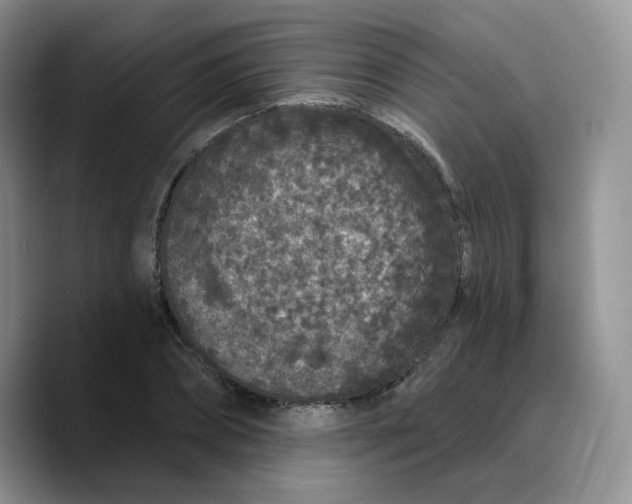 X0000089740882200707201900