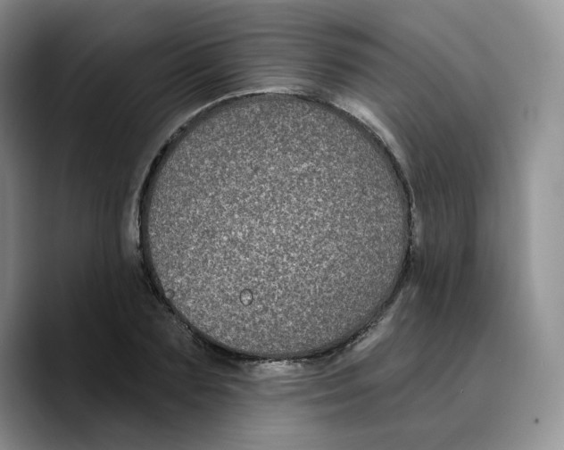 X0000089740883200707201900