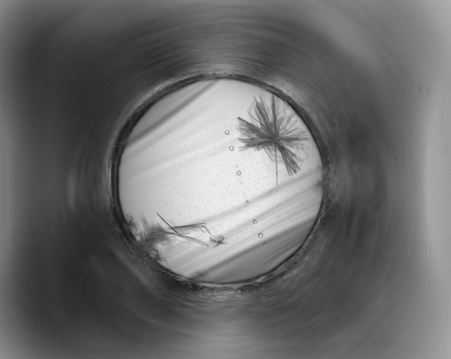 X0000089740886200707201900