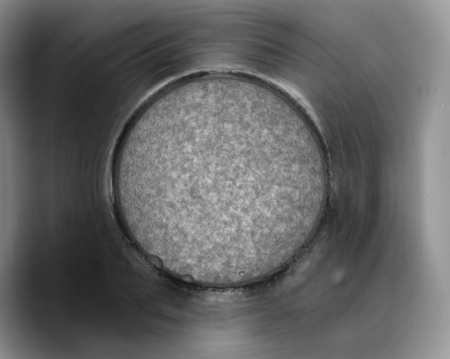 X0000089740887200707201859