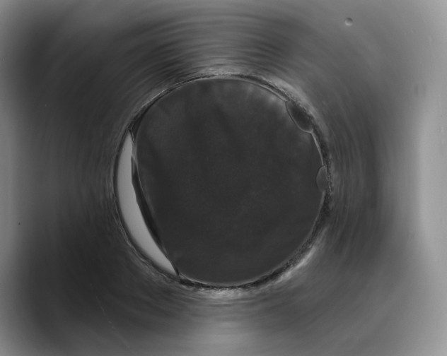 X0000089740889200707201859
