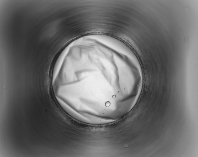 X0000089740890200707201859