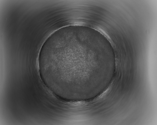 X0000089740891200707201859
