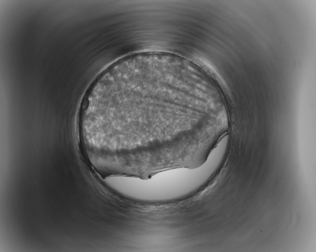 X0000089740892200707201859