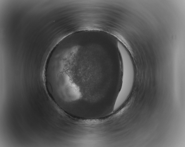 X0000089740893200707201859