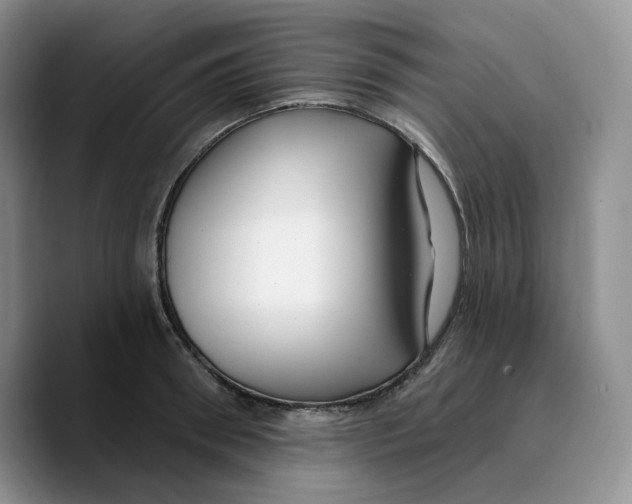 X0000089740898200707201859