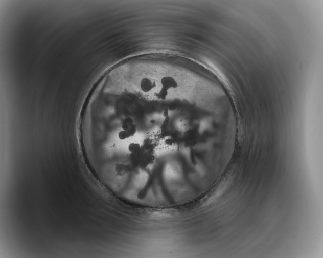 X0000089740899200707201859
