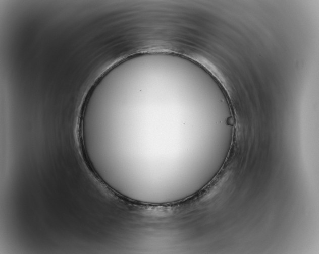 X0000089740901200707201859